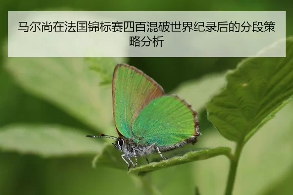 ma-er-shang-zai-fa-guo-jin-biao-sai-si-bai-hun-po-shi-jie-ji-lu-hou-de-fen-duan-ce-lve-fen-xi-2-116.jpg