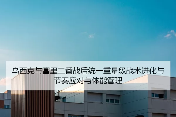 乌西克与富里二番战后统一重量级战术进化与节奏应对与体能管理